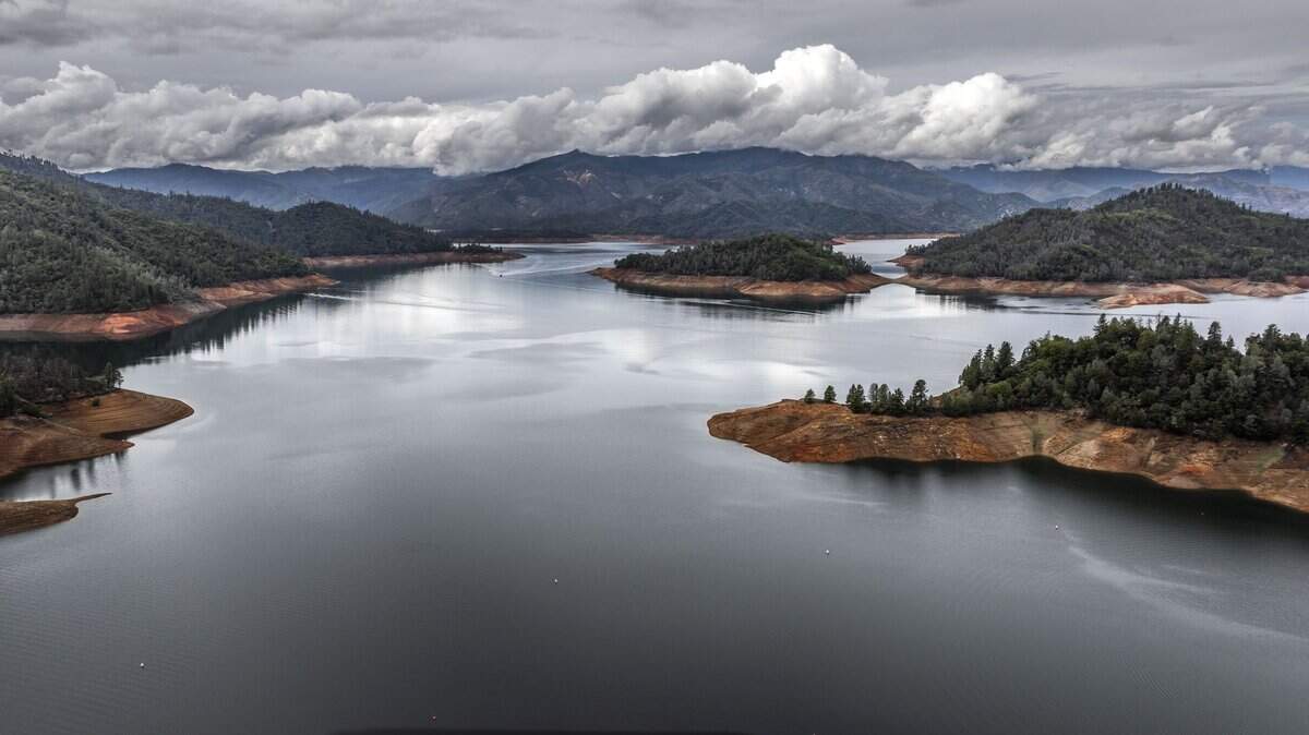 Man drowns rescuing pet dog at Lake Shasta