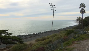 San Clemente neighbors rally for beach protection ballot measure – NBC Los Angeles