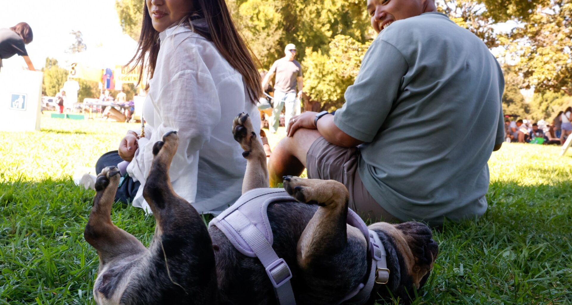 Dogs get free vaccinations at Bark in the Park – East Bay Times