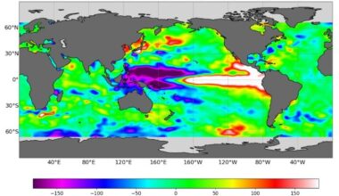 El Niño: Why chances are increasing for lots of rain this winter in the Bay Area and across California