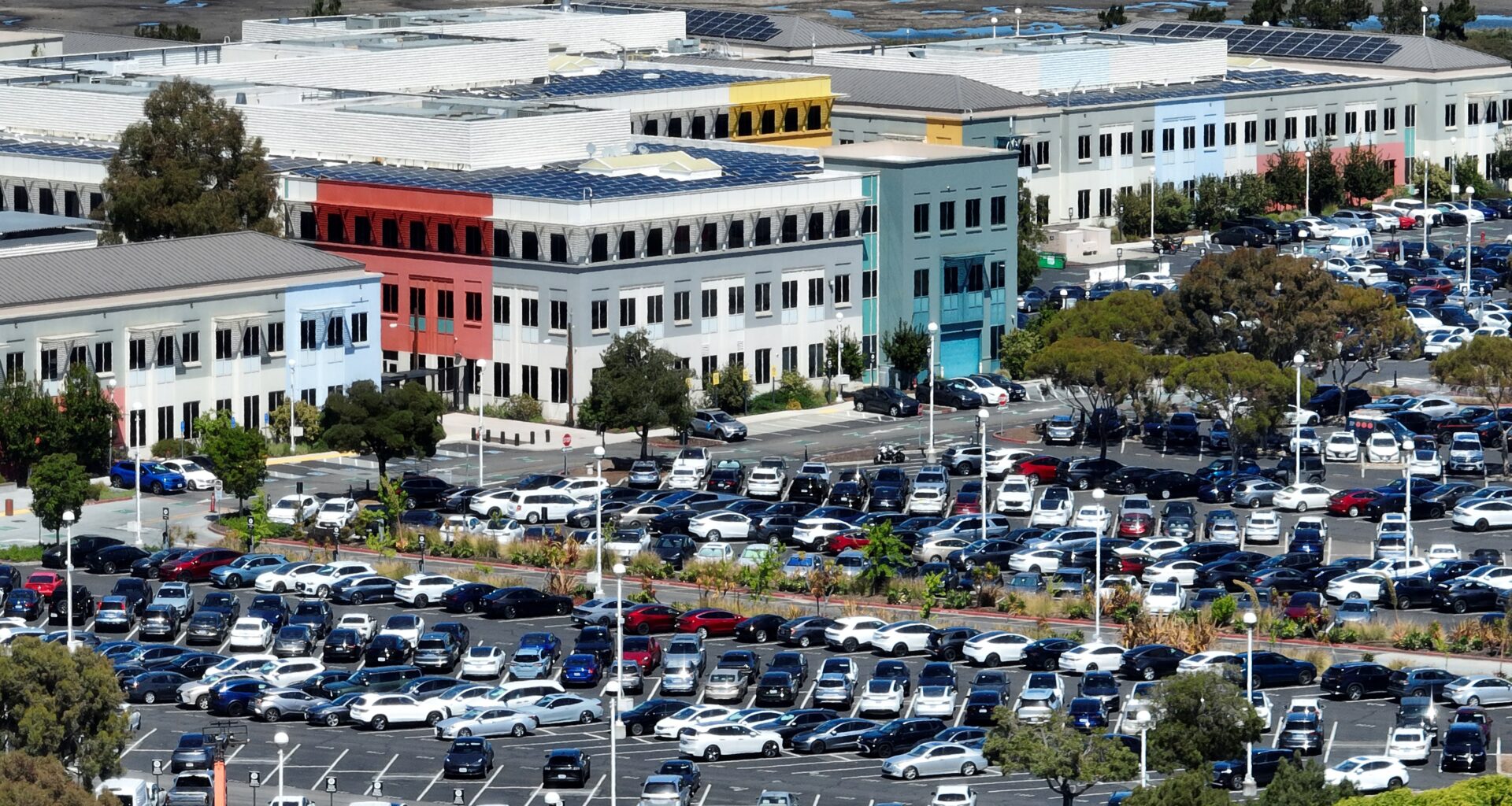 Bay Area tech layoffs already top last year as more job cuts surface