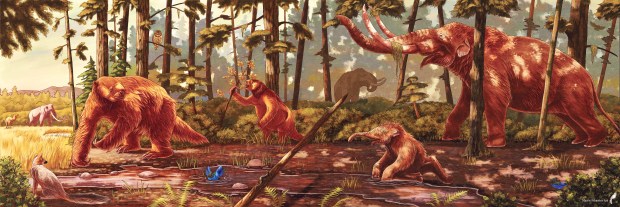 During the Ice Age, from 11,000 years ago to 2.5 million years ago, mastodons, mammoths, giant sloths, saber tooth tigers, dire wolves and other wildlife roamed the Bay Area. (Credit: Mason Schratter and Midpeninsula Regional Open Space District)