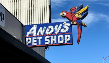 Andy's Pet Shop -- and its iconic sign -- ready for a rebirth in San Jose