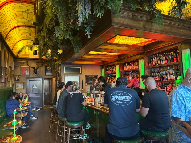 Patrons sit at the bar at Bitterbuck in downtown San Jose's Fountain Alley on Sept. 2, 2026. (Sal Pizarro/Bay Area News Group)