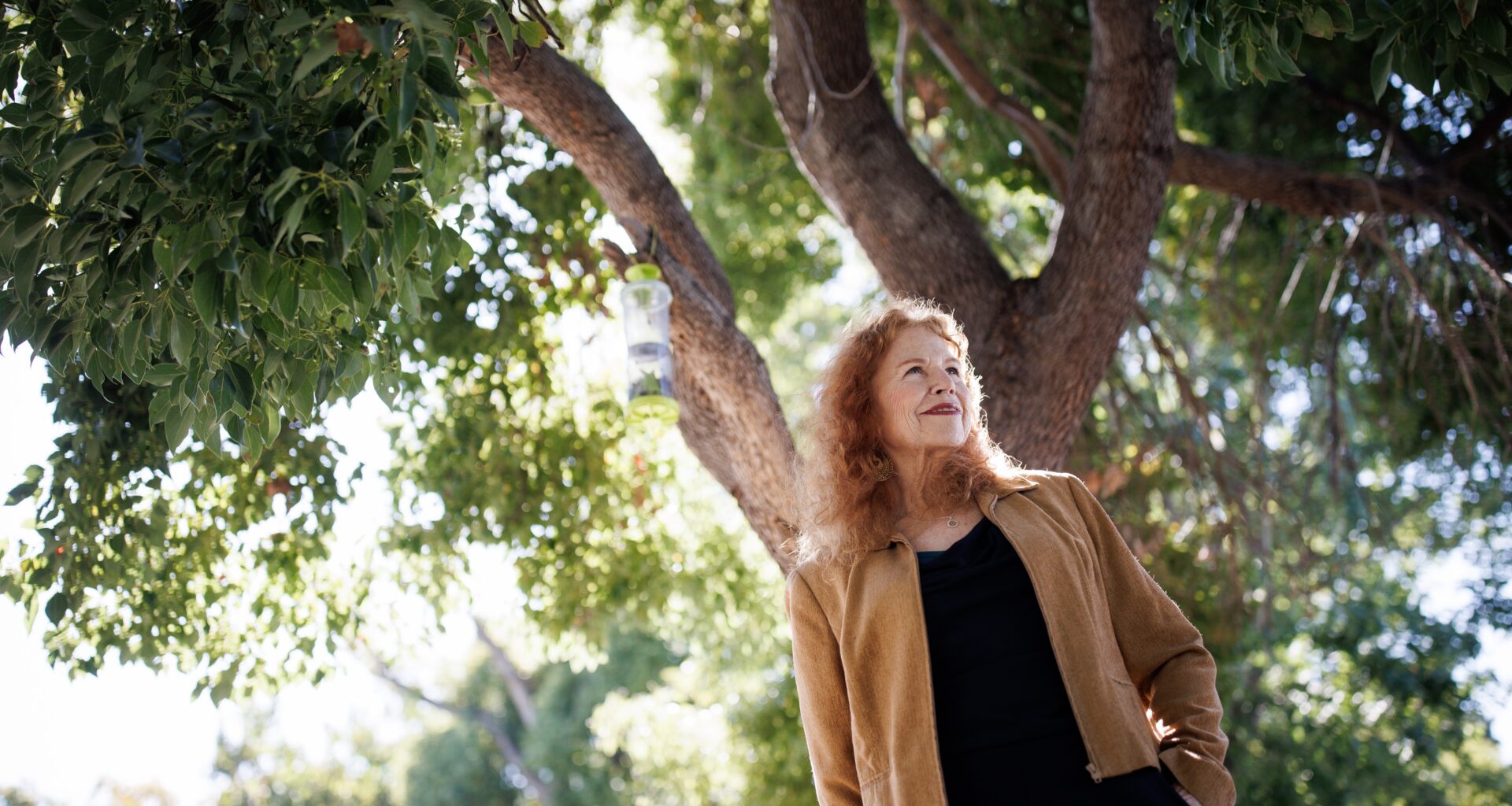 Grow something: San Jose nonprofit founder shares seeds to success – The Mercury News