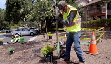 A new California law will ban watering decorative grass, even in non-drought years, starting Jan. 1
