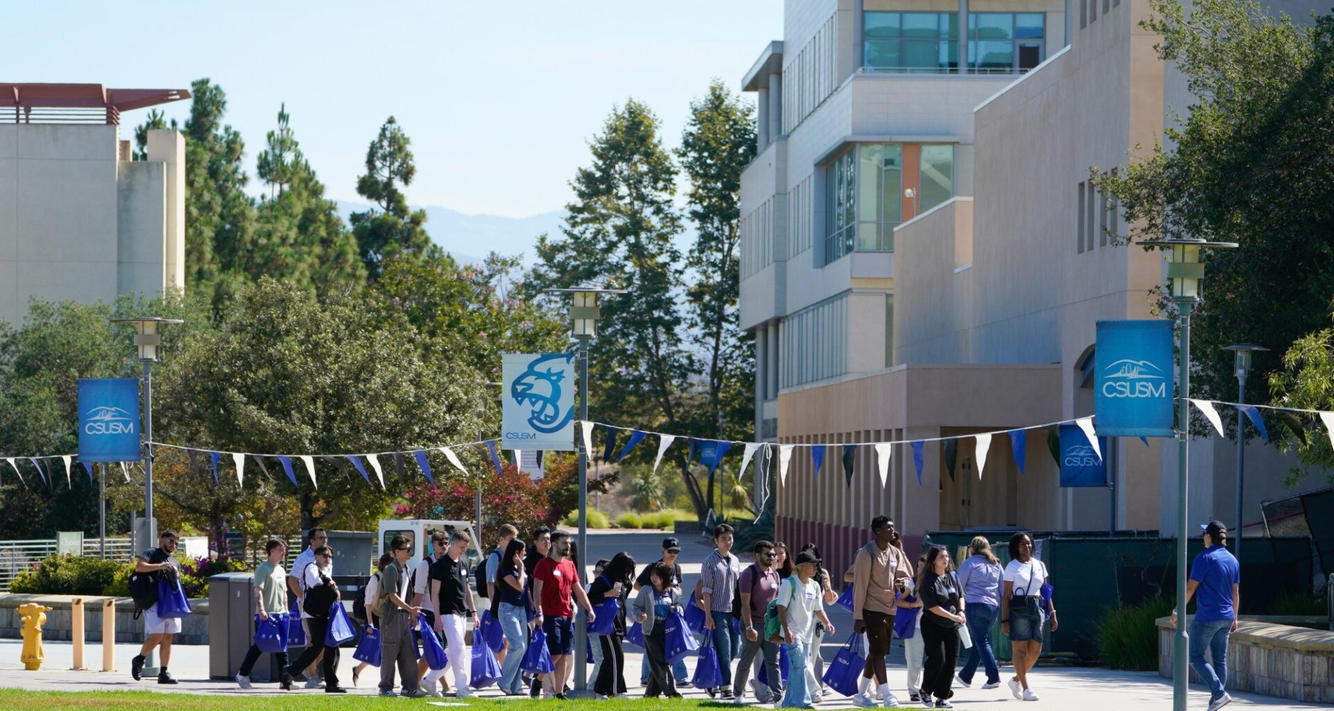 Cal State San Marcos says 4 female students report being raped on campus in recent weeks – San Diego Union-Tribune