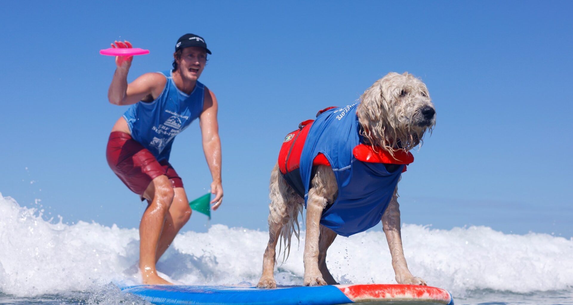 Sneak peek at upcoming San Diego-area street fairs, festivals, concerts, performances, art shows, library events, community meetings and more