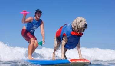 Sneak peek at upcoming San Diego-area street fairs, festivals, concerts, performances, art shows, library events, community meetings and more