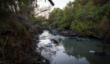 Federal report finds short-term hydrogen sulfide spikes near Tijuana River pose public health hazard