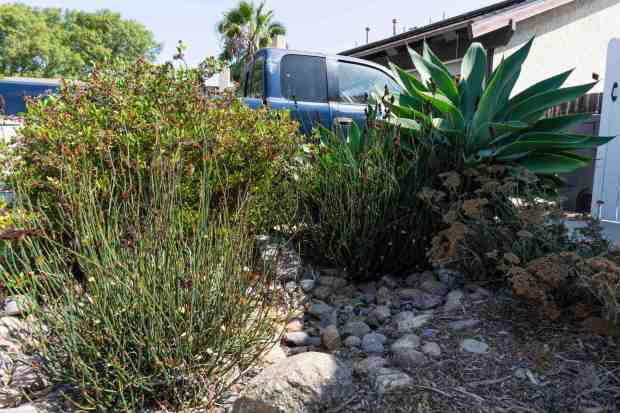 Water is routed under the driveway to a mini-swale on the side. (Brandon Pollard / The San Diego Union-Tribune)