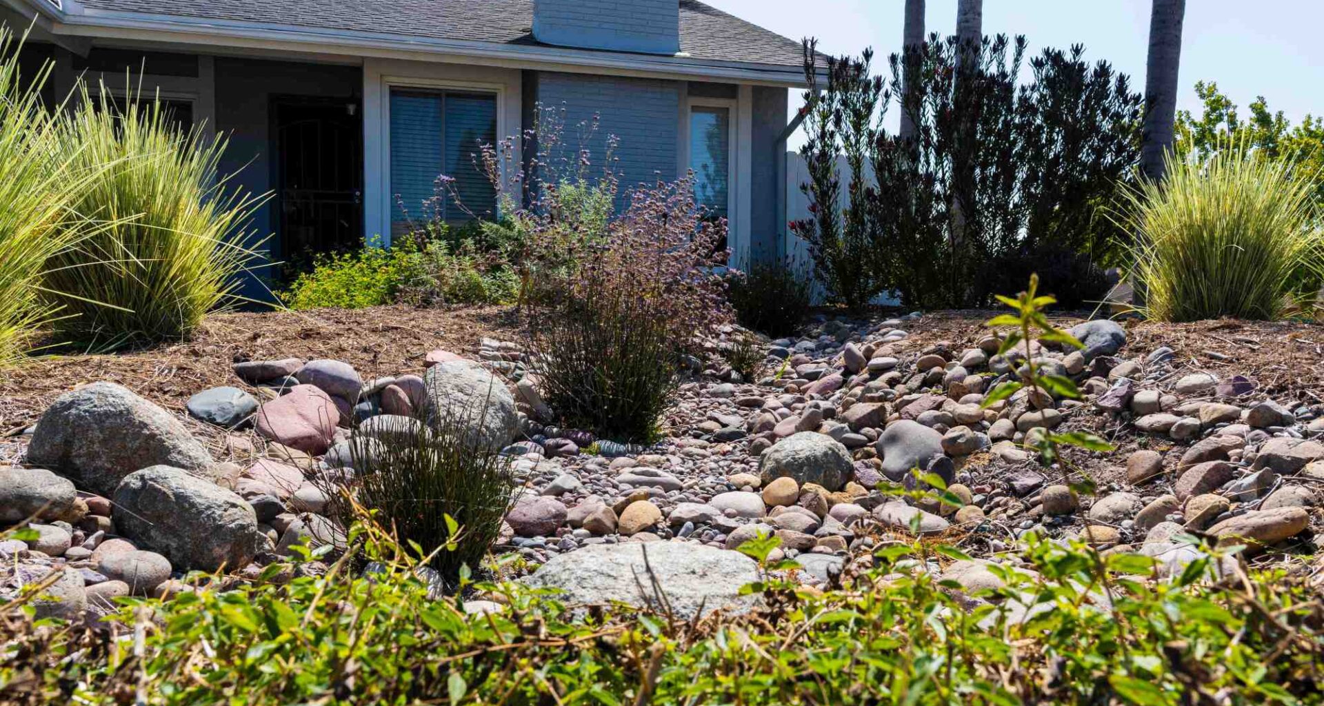 WaterSmart makeover: Sustainable yard standout in Oceanside – San Diego Union-Tribune