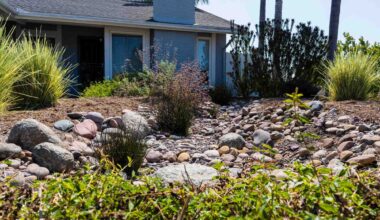 WaterSmart makeover: Sustainable yard standout in Oceanside – San Diego Union-Tribune