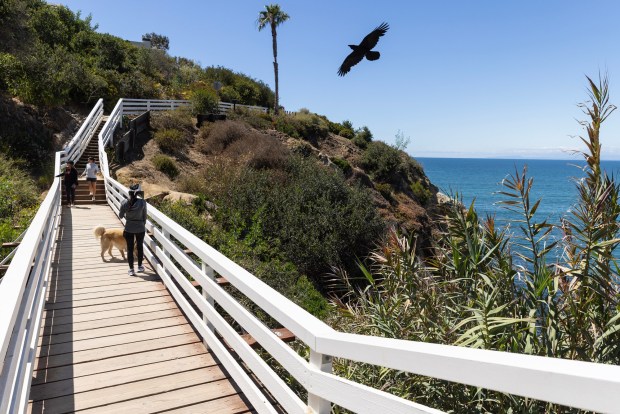 La Jolla's Coast Walk Bridge on Friday, May 29, 2026. (Luke Johnson / The San Diego Union-Tribune)