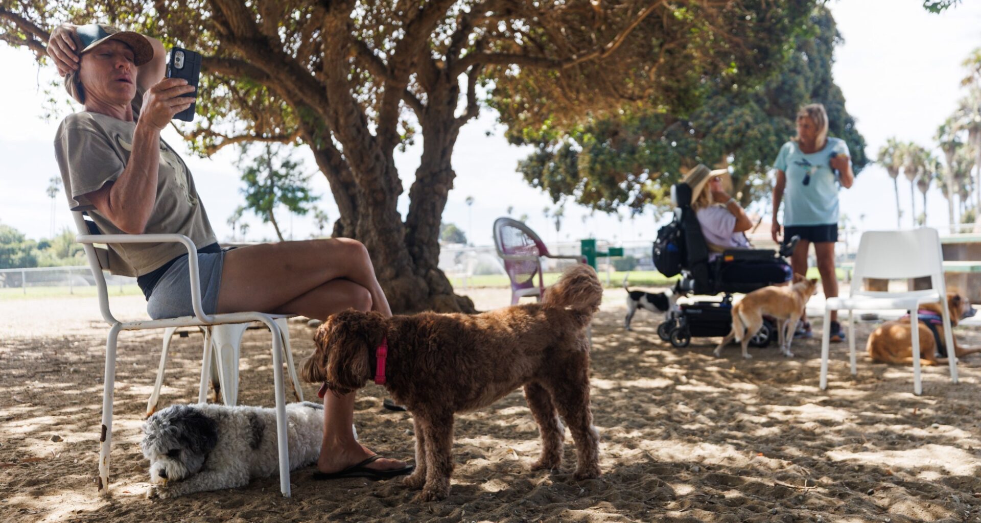 Noon temperatures hit 100 or above in at least 14 communities across San Diego County – San Diego Union-Tribune