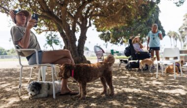 Noon temperatures hit 100 or above in at least 14 communities across San Diego County – San Diego Union-Tribune