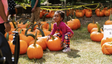Oakland Cemetery is hosting a free 2-day fall festival & pumpkin patch this October