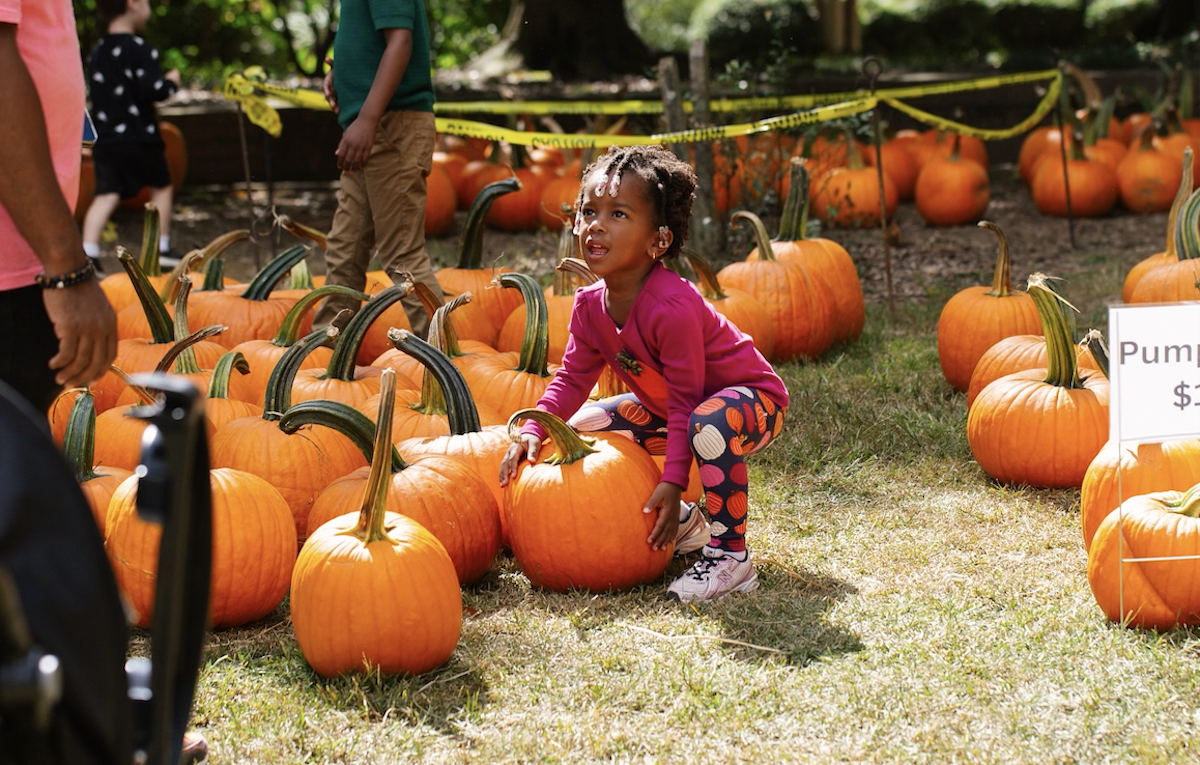 Oakland Cemetery is hosting a free 2-day fall festival & pumpkin patch this October