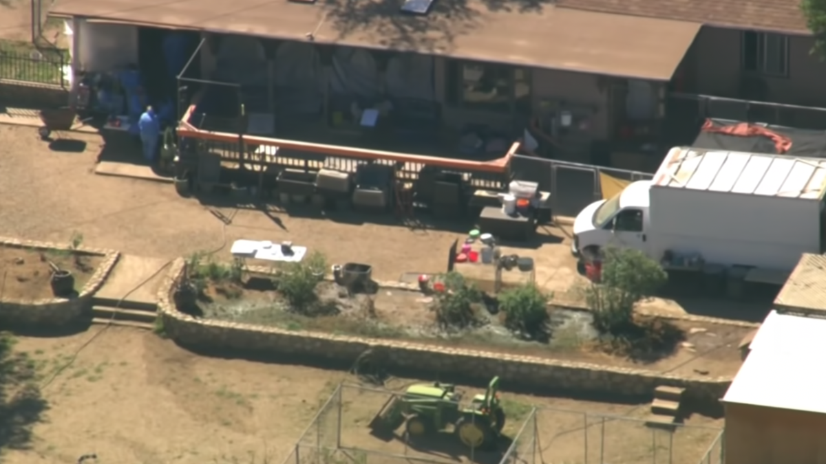 Lake Hughes woman faces 35 charges in animal cruelty case – NBC Los Angeles