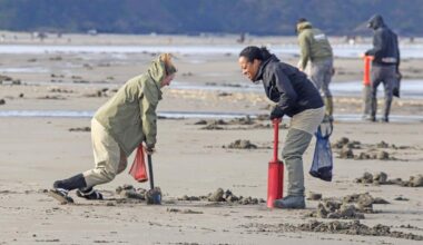 WDFW: 40 tentative days of coastal razor clam digging starting Oct. 9