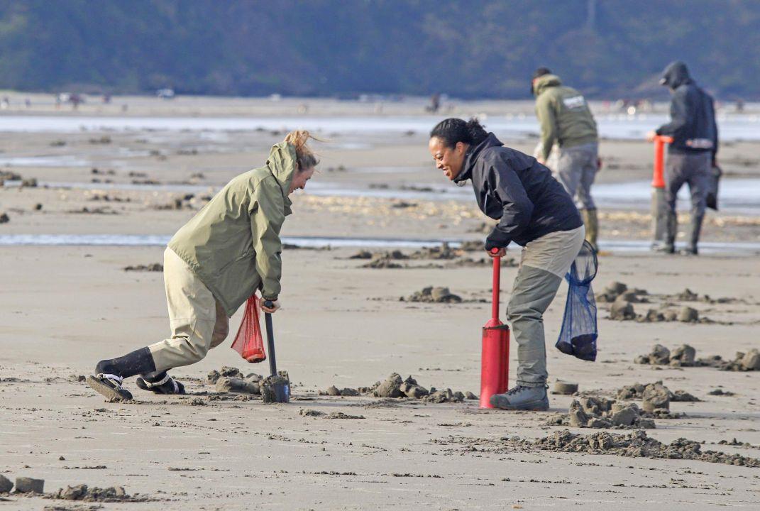 WDFW: 40 tentative days of coastal razor clam digging starting Oct. 9