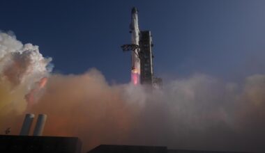 Judge won’t block Trump administration from giving SpaceX acres of wildlife refuge in land swap