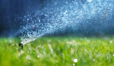 KNEE DEEP TIMES: The end is coming for California’s untouchable grass ~ MAVEN'S NOTEBOOK