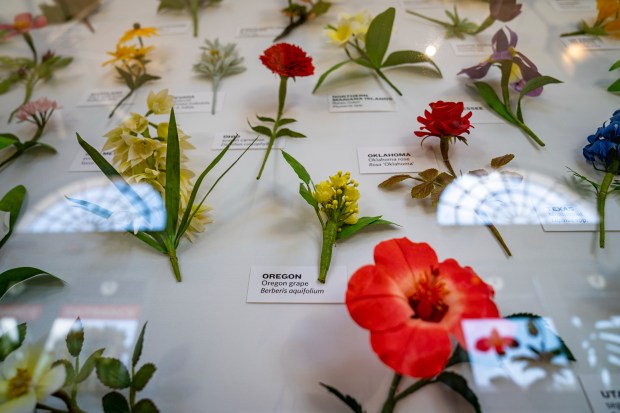 A display by botanical artist Emily Paluska features all 56 official flowers made out of paper. (Maxine Wallace, The Washington Post)