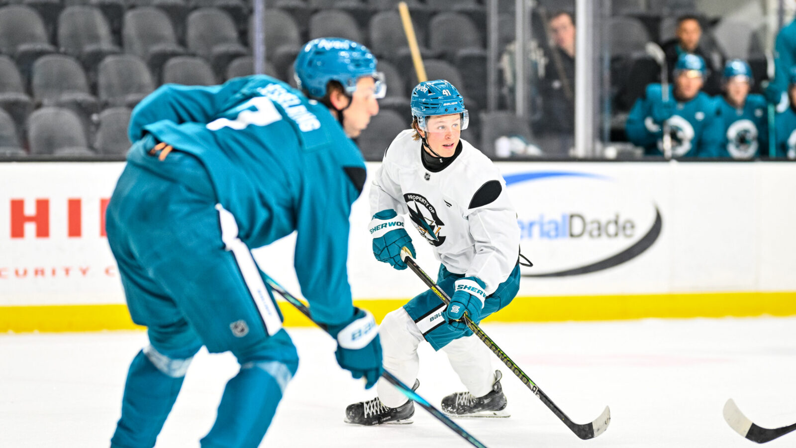 Sharks Training Camp Thoughts: Stenberg Impressing, Can't Miss Misa, Cagnoni's Job To Lose? (+)