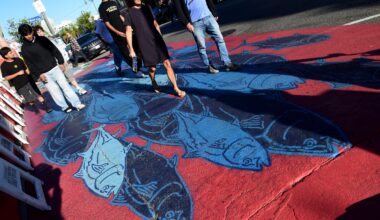 Downtown San Pedro’s colorful new crosswalk hailed with celebration – Daily Breeze