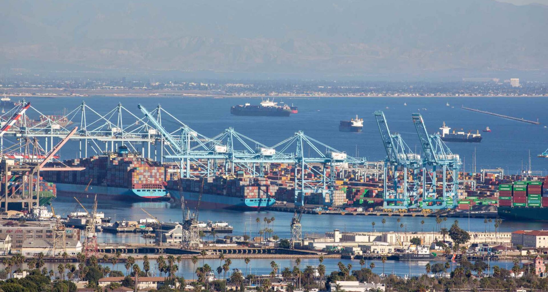 L.A. harbor commission sees another resignation and proposed replacement – Daily News