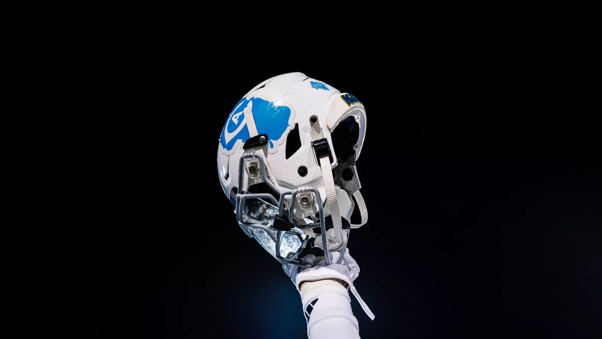FB Helmet