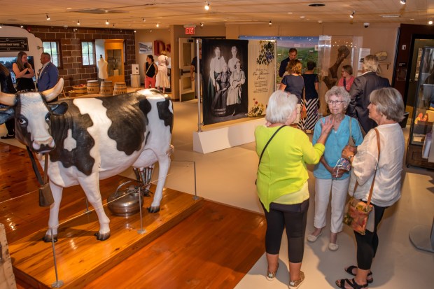 people standing next to cow exhibit