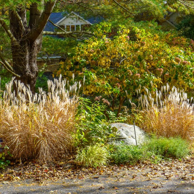 Time spent on your landscaping now can help reduce winter damage and save time as the next garden season begins. (Photo courtesy of Metro Editorial Services)