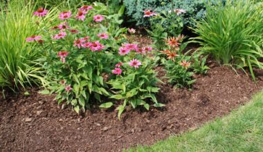 Prepare your landscape as summer turns to fall – The Oakland Press