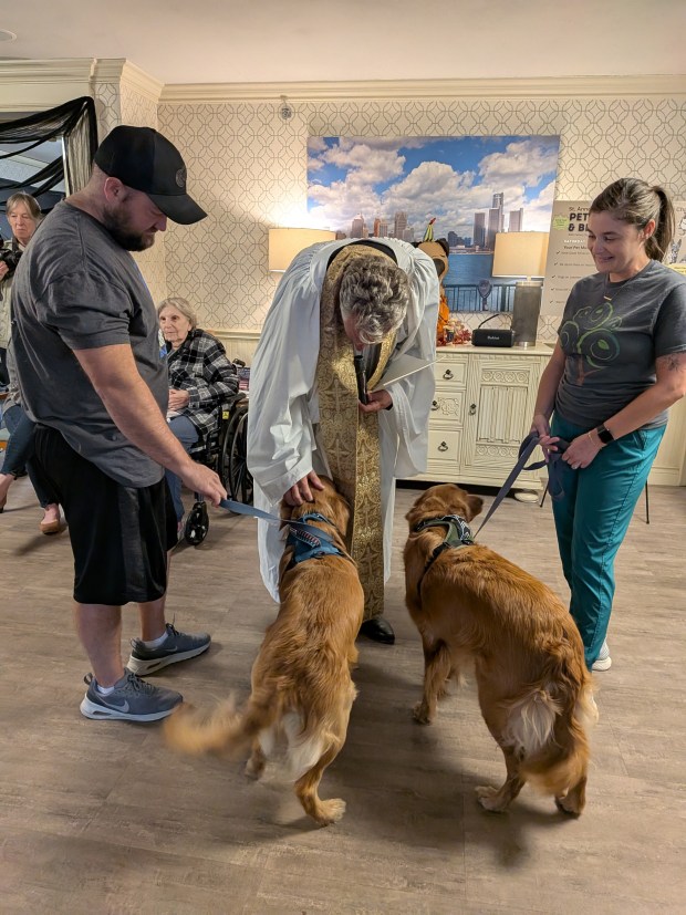 The Rev. Chris Yaw of St. David's Episcopal Church blesses Griffin and Gunner, the Plumb family's golden retrievers, during the annual St. Anne's Mead Pet Parade & Blessing. The blessing is held in connection with the Feast of St. Francis of Assisi, the patron saint of animals. (Photo courtesy of St. Anne's Mead Assisted Living)