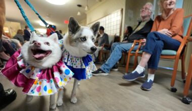 Southfield pet parade brings joy, comfort and connection – The Oakland Press