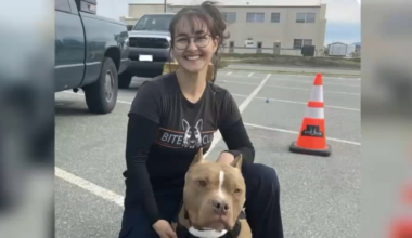 Nonprofit in honor of animal advocate killed in San Jose – NBC Bay Area
