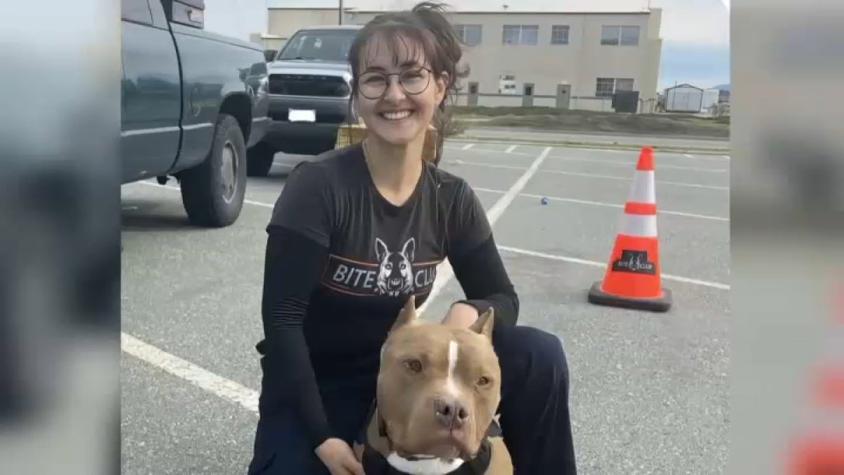 Nonprofit in honor of animal advocate killed in San Jose – NBC Bay Area
