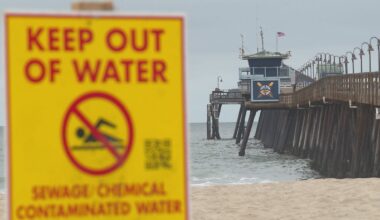 Imperial Beach shoreline closed due to sewage contamination – NBC 7 San Diego