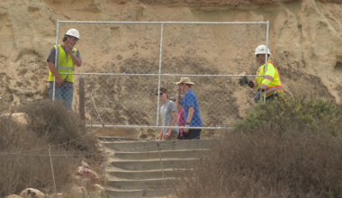 Torrey Pines State Natural Reserve to close for almost 5 months – NBC 7 San Diego