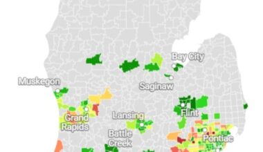 See typical asking rents in Michigan ZIP codes, from $900 to $2,800