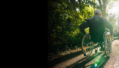 Above, a wheelchair user travels along a tree-lined path in a public park as sunlight filters through the surrounding trees.