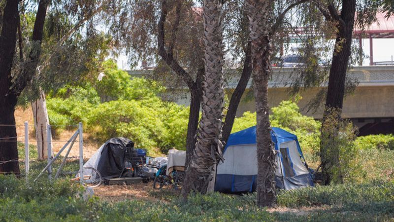 FILE - A homeless encampment sits set up next to a freeway off-ramp in California. (AP Photo/Damian Dovarganes)