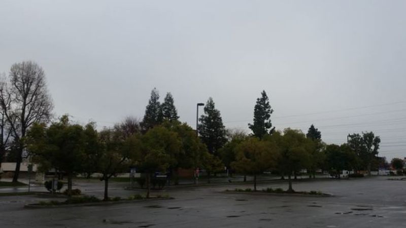 A storm in March brought with it some rain which soaked Kern County, Calif., photo taken March 3, 2018. (KBAK/KBFX){p}{/p}