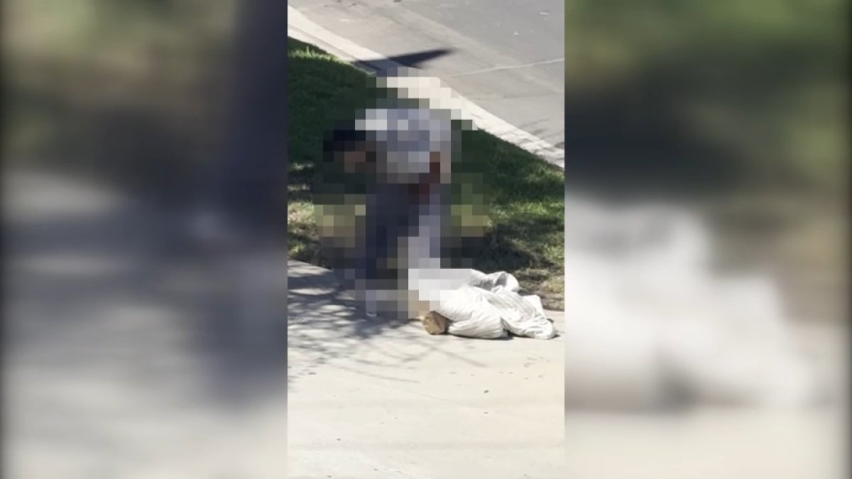 Brentwood residents say woman has been defecating in public – NBC Los Angeles