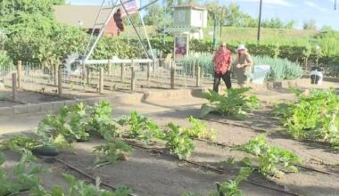 Cal Expo debuts "Evening on the Farm" showcasing California agriculture