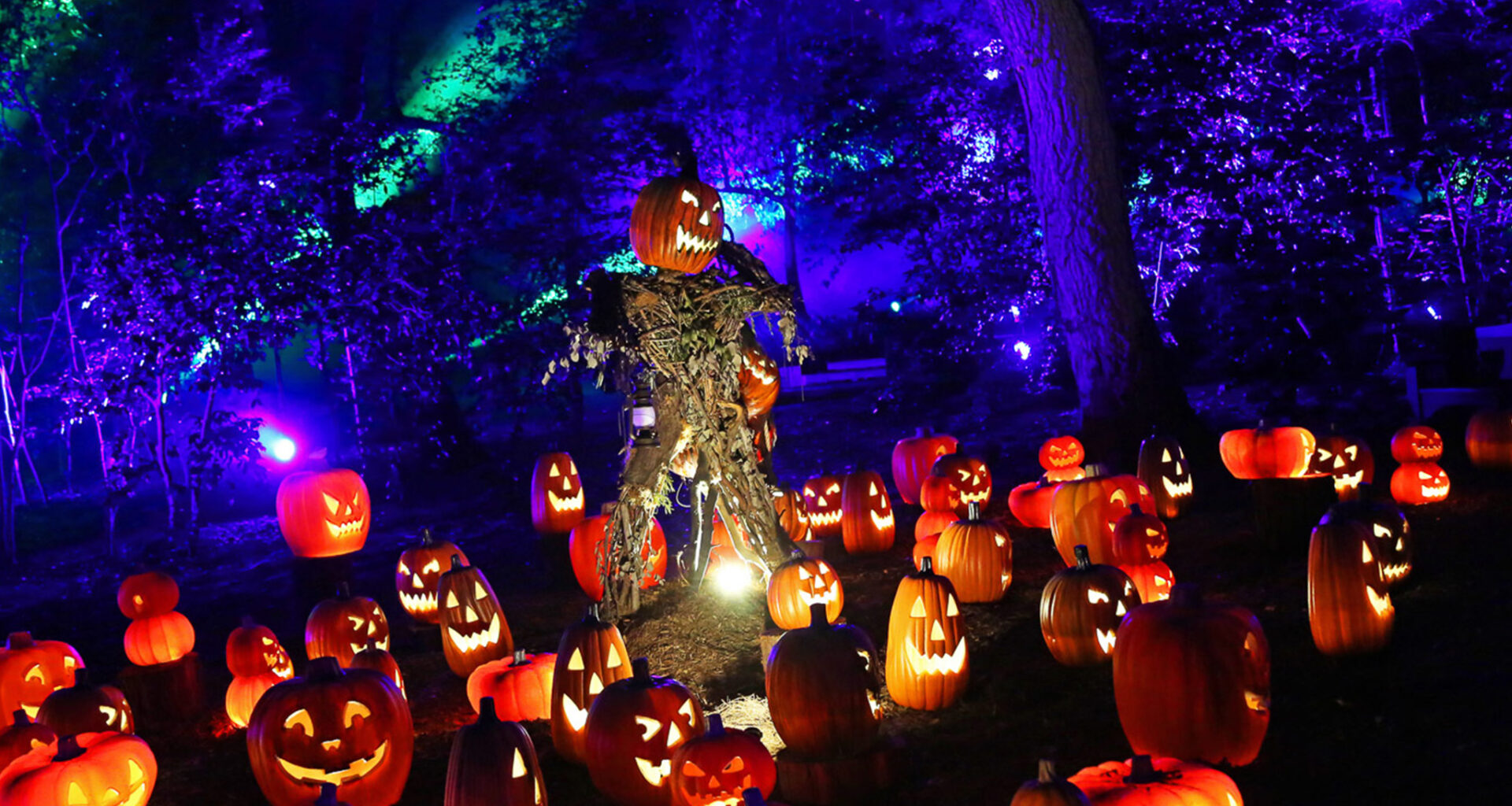 15 Halloween Things to Do in Los Angeles