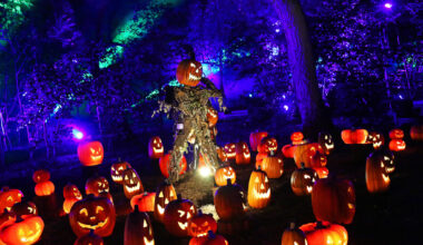 15 Halloween Things to Do in Los Angeles