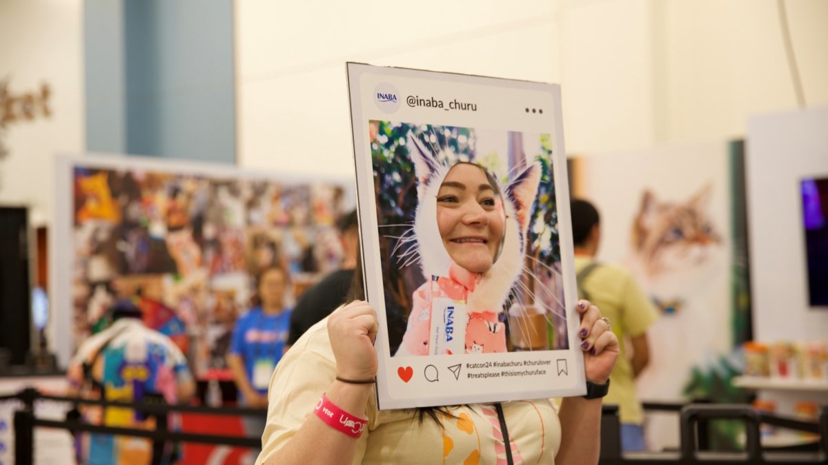 CatCon, the mega meow meet-up, to purr at Pasadena Convention Center this fall – NBC Los Angeles
